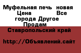 Муфельная печь (новая)  › Цена ­ 58 300 - Все города Другое » Продам   . Ставропольский край